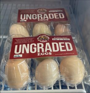 Screenshot 2026-03-03 091026